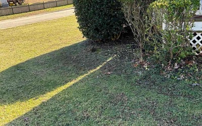 Photo of Mary M.'s yard after getting tree care in Richmond, VA