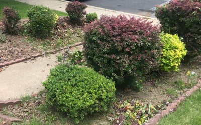 Photo of James A.'s yard after getting landscaping in Dupont, CO