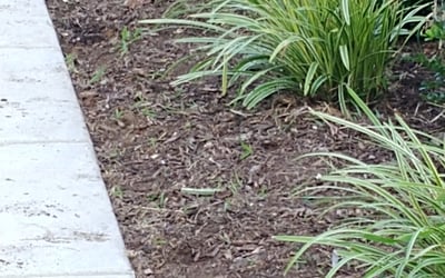 Photo of Matthew S.'s yard after getting landscaping in Lutherville Timonium, MD