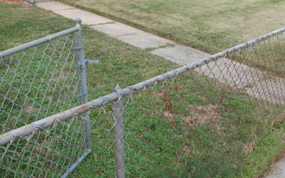 Photo of Ronald S.'s yard after getting landscaping in Flint Hill, VA