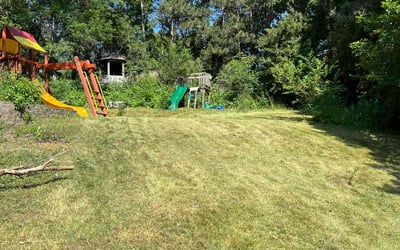 Photo of Melissa M.'s yard after getting landscaping in Chisago City, MN
