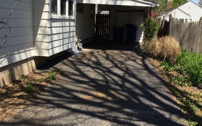 Photo of Christopher M.'s yard after getting tree care in Carmel, IN