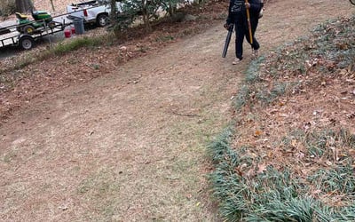 Photo of Klaire M.'s yard after getting tree care in Jonesboro, GA