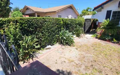 Photo of Monique A.'s yard after getting tree care in San Jose, CA