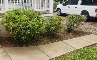 Photo of Tracy R.'s yard after getting landscaping in Cramerton, NC