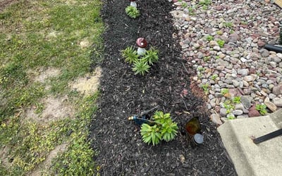 Photo of Vicki-Lynn H.'s yard after getting tree care in Purcellville, VA
