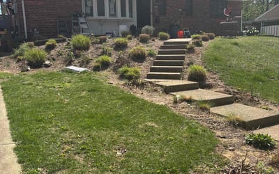 Photo of Sam S.'s yard after getting landscaping in Springfield, VA