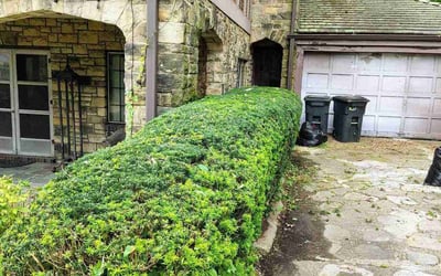 Photo of Greg H.'s yard after getting landscaping in Washington, PA