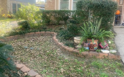 Photo of Paul D.'s yard after getting tree care in Montgomery, TX