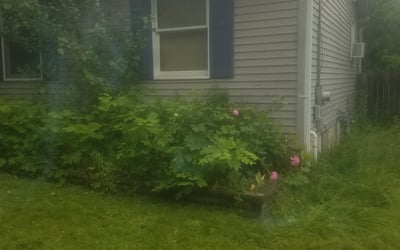 Photo of Daniel E.'s yard after getting landscaping in Grand Haven, MI