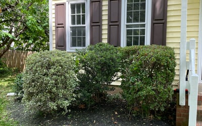 Photo of Karl K.'s yard after getting landscaping in Sparta, VA