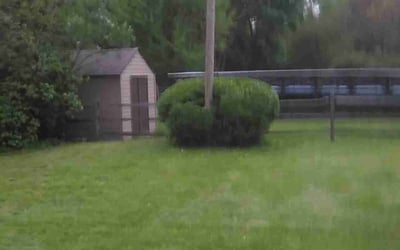 Photo of Christina S.'s yard after getting landscaping in Wauseon, OH