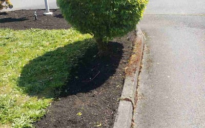 Photo of Gwendolyn D.'s yard after getting landscaping in Tacoma, WA