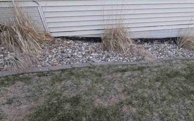 Photo of Paul H.'s yard after getting landscaping in Indianola, IA