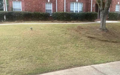 Photo of Stacey M.'s yard after getting landscaping in Clarkdale, GA