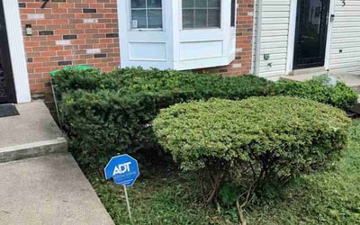 Photo of Tabitha R.'s yard after getting tree care in Herndon, VA