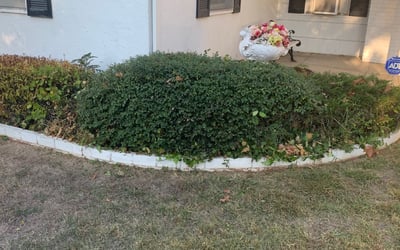 Photo of Debbie S.'s yard after getting landscaping in Kings Beach, CA