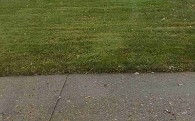 Photo of Amanda C.'s yard after getting landscaping in Burton, OH