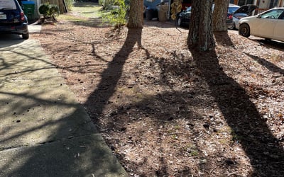 Photo of Nadia H.'s yard after getting landscaping in Buchanan, GA