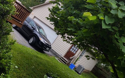 Photo of Antonio P.'s yard after getting landscaping in Adamstown, MD