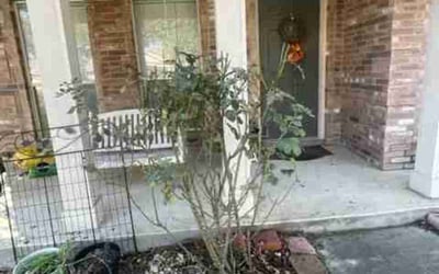 Photo of Elizabeth R.'s yard after getting landscaping in Pipe Creek, TX
