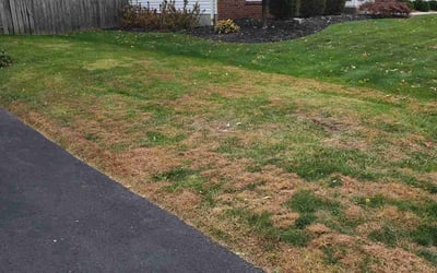 Photo of Felicia M.'s yard after getting landscaping in Milford Center, OH