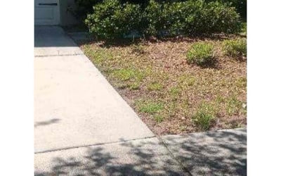 Photo of Kevin M.'s yard after getting landscaping in Nobleton, FL