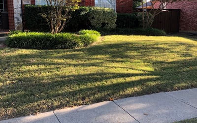Photo of Timothy B.'s yard after getting landscaping in Rosser, TX
