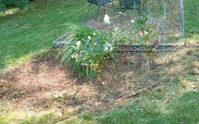 Photo of Michael O.'s yard after getting landscaping in Guilford, CT