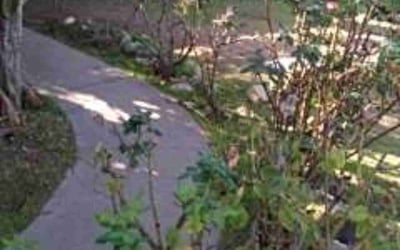 Photo of Jack B.'s yard after getting landscaping in Covina, CA
