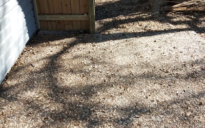 Photo of Chad B.'s yard after getting landscaping in High Island, TX