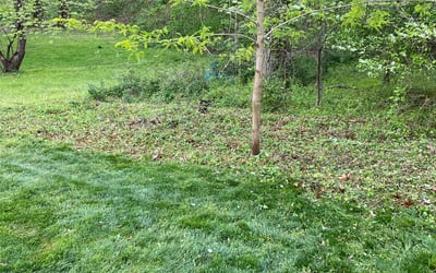Photo of Rosa l.'s yard after getting landscaping in Solomons, MD