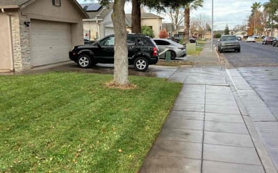 Photo of Aaron B.'s yard after getting landscaping in Reedley, CA