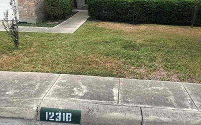 Photo of Brittany K.'s yard after getting landscaping in Von Ormy, TX