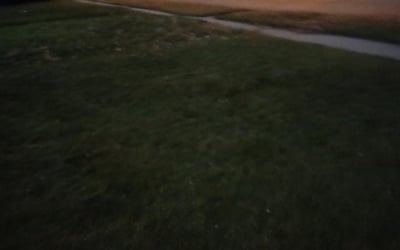 Photo of Belinda B.'s yard after getting landscaping in Thiensville, WI