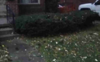 Photo of Robert W.'s yard after getting landscaping in Oregon, OH