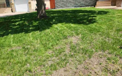 Photo of Matt S.'s yard after getting landscaping in Elmwood, WI