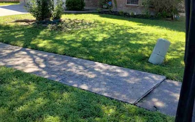 Photo of Andrew G.'s yard after getting landscaping in Mckinney, TX