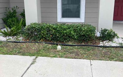 Photo of Bobby R.'s yard after getting landscaping in Robstown, TX