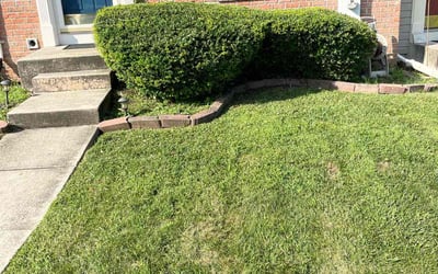Photo of Melissa D.'s yard after getting landscaping in Harwood, MD
