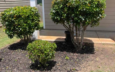 Photo of Annalies A.'s yard after getting landscaping in Hoschton, GA