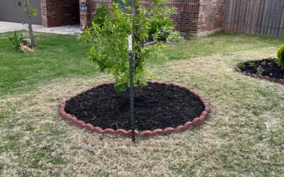 Photo of Brian M.'s yard after getting landscaping in Wellston, OK