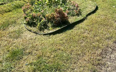 Photo of Joseph M.'s yard after getting landscaping in Huntly, VA