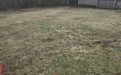Photo of Pat c.'s yard after getting landscaping in Crystal Lake, IL