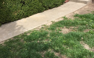 Photo of Ryan S.'s yard after getting landscaping in Kingman, KS