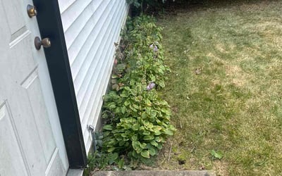 Photo of Lee B.'s yard after getting landscaping in Delafield, WI