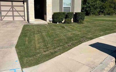 Photo of David C.'s yard after getting landscaping in La Coste, TX