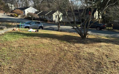 Photo of Jessica A.'s yard after getting landscaping in Boonton, NJ