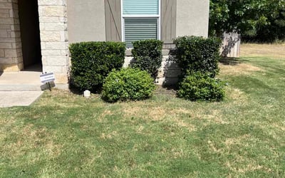 Photo of David C.'s yard after getting landscaping in Hondo, TX