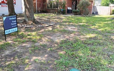 Photo of Chris P.'s yard after getting landscaping in Humble, TX